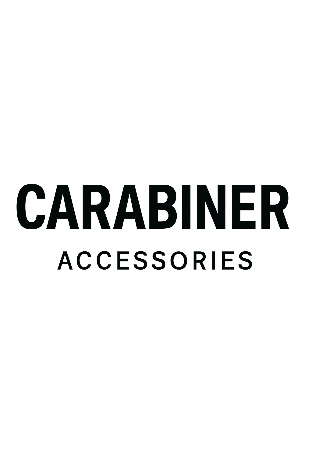 ACCESSORIES: CARABINER
