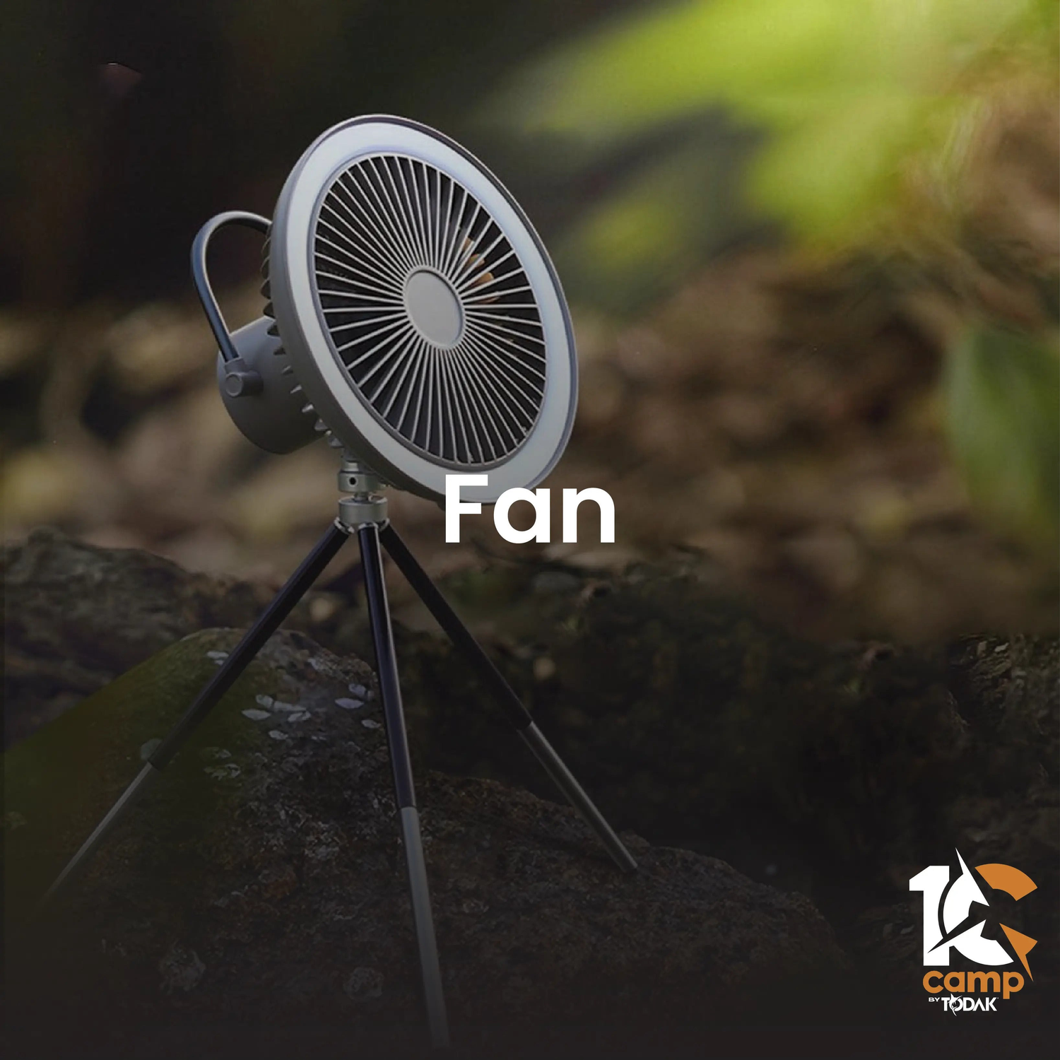 FAN