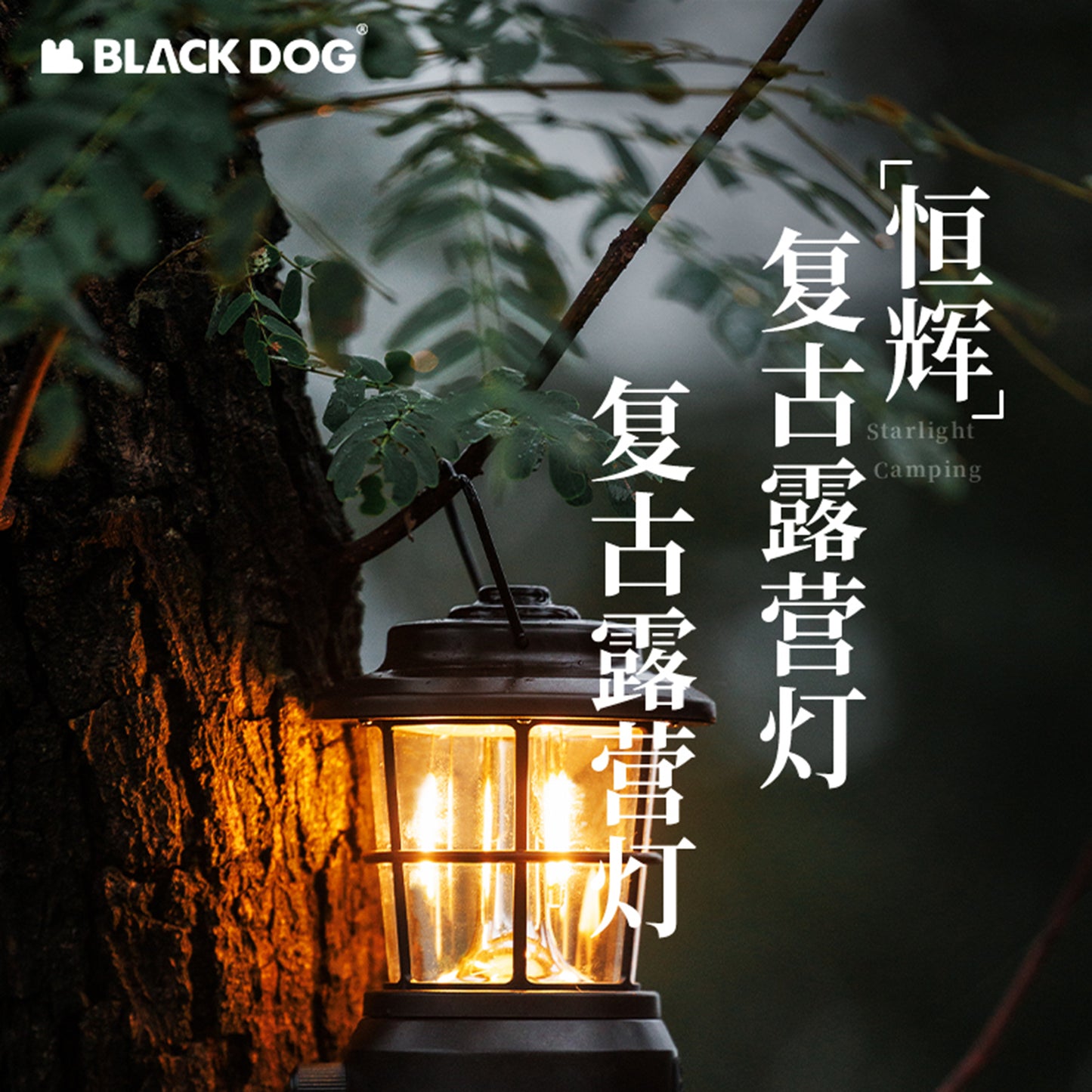 BD087 | BLACKDOG CBD2450ZM021_Henghui - Retro Camping Light