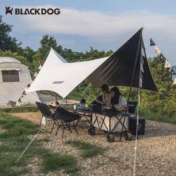 BD062 | BLACKDOG BD-TM004 _ Hexagon Tarp Silver Coated | BEIGE | 550*293*240cm | BD062 |