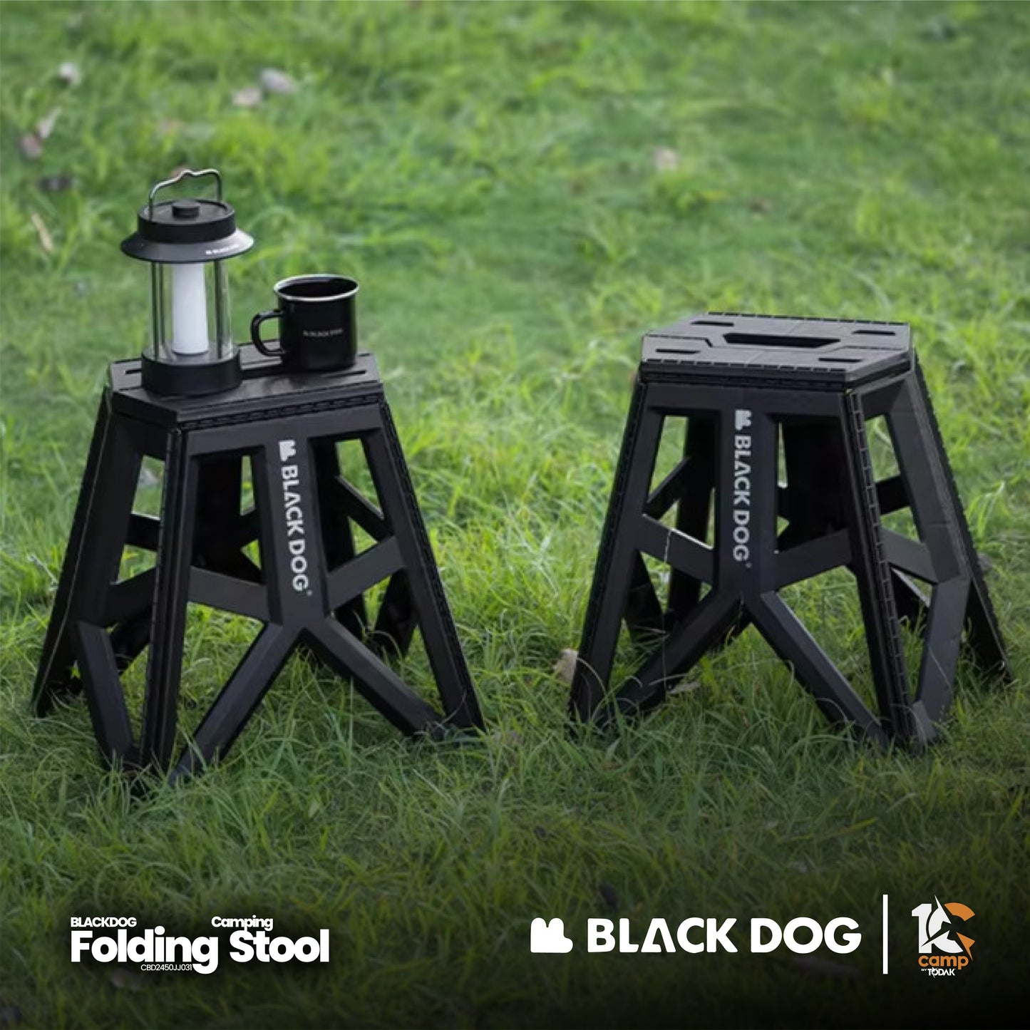BD071 | BLACKDOG CBD2450JJ031 _ Folding camping stool