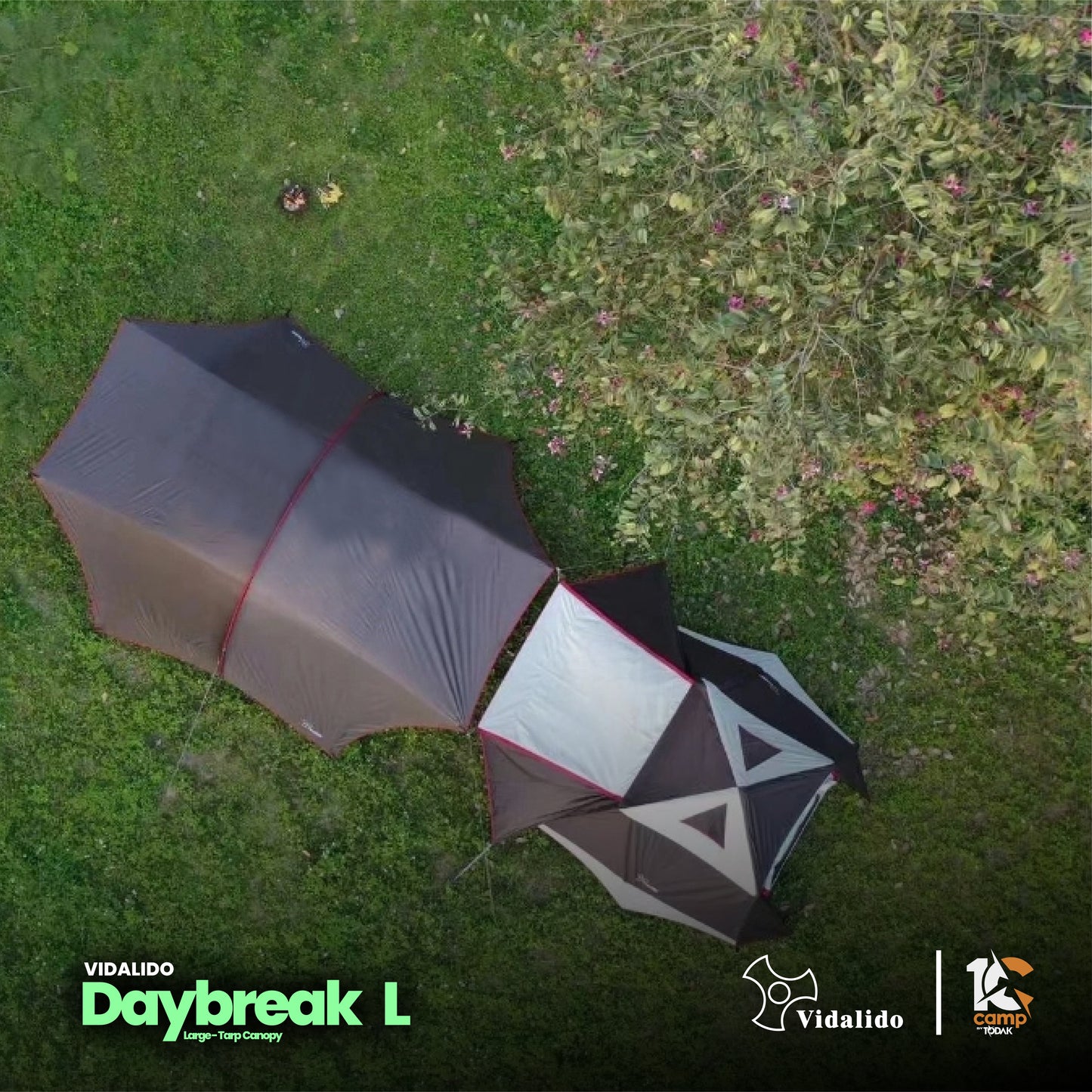 VD038 | VIDALIDO Daybreak L | BLACK |